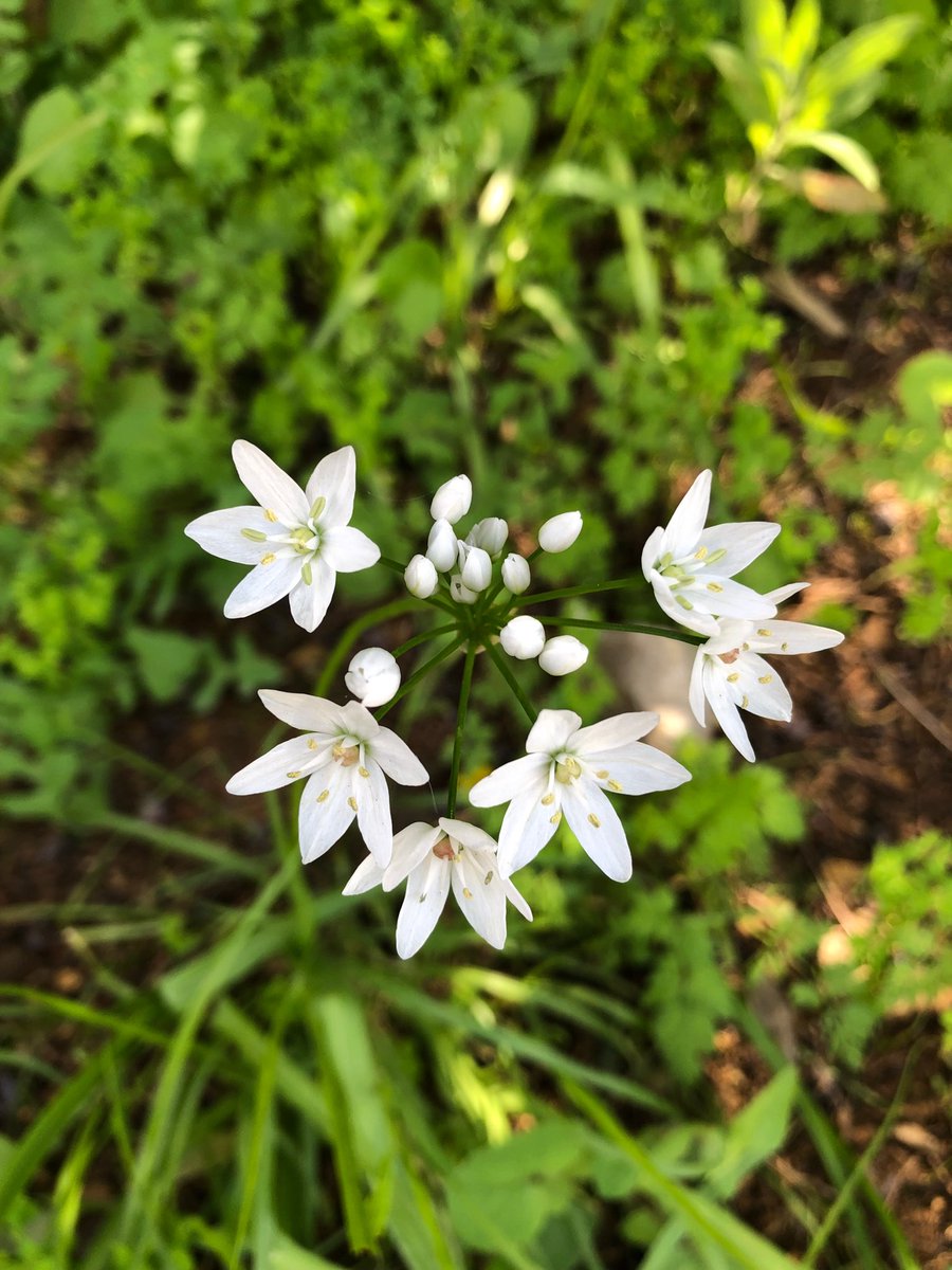 Marie Nassar tweet media