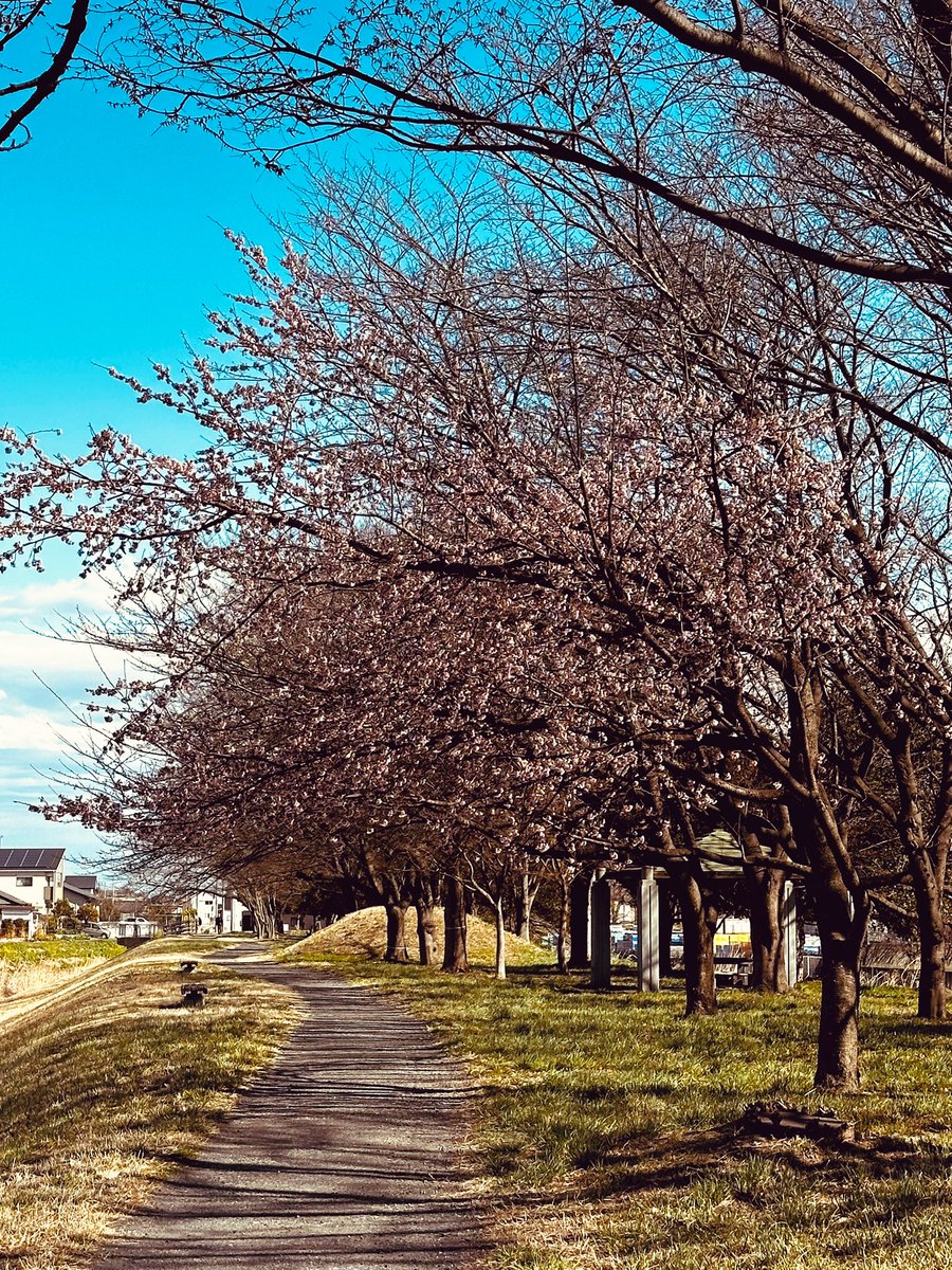 戎橋政造 tweet media