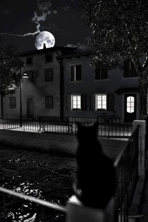 @prentissweston tweet media