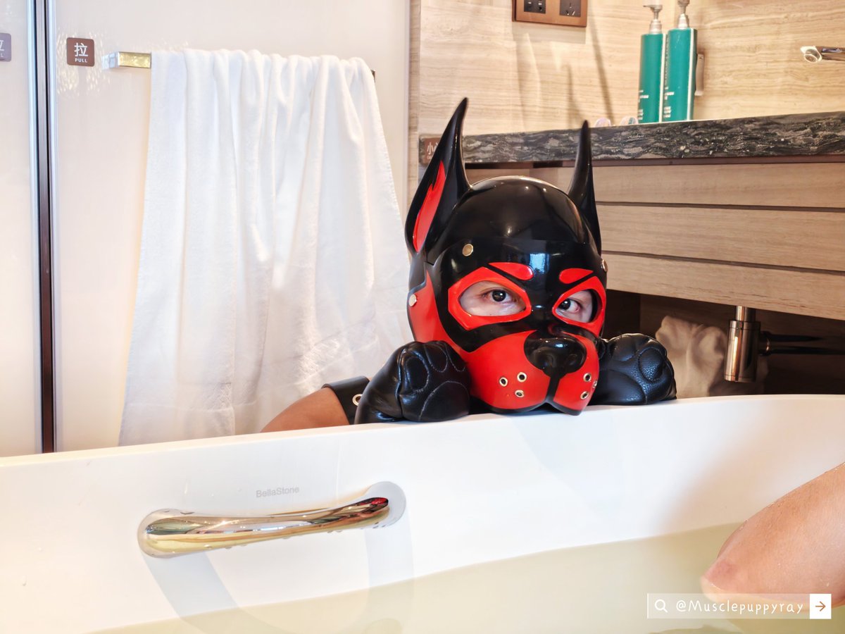 Pup Ray雷雷 tweet media