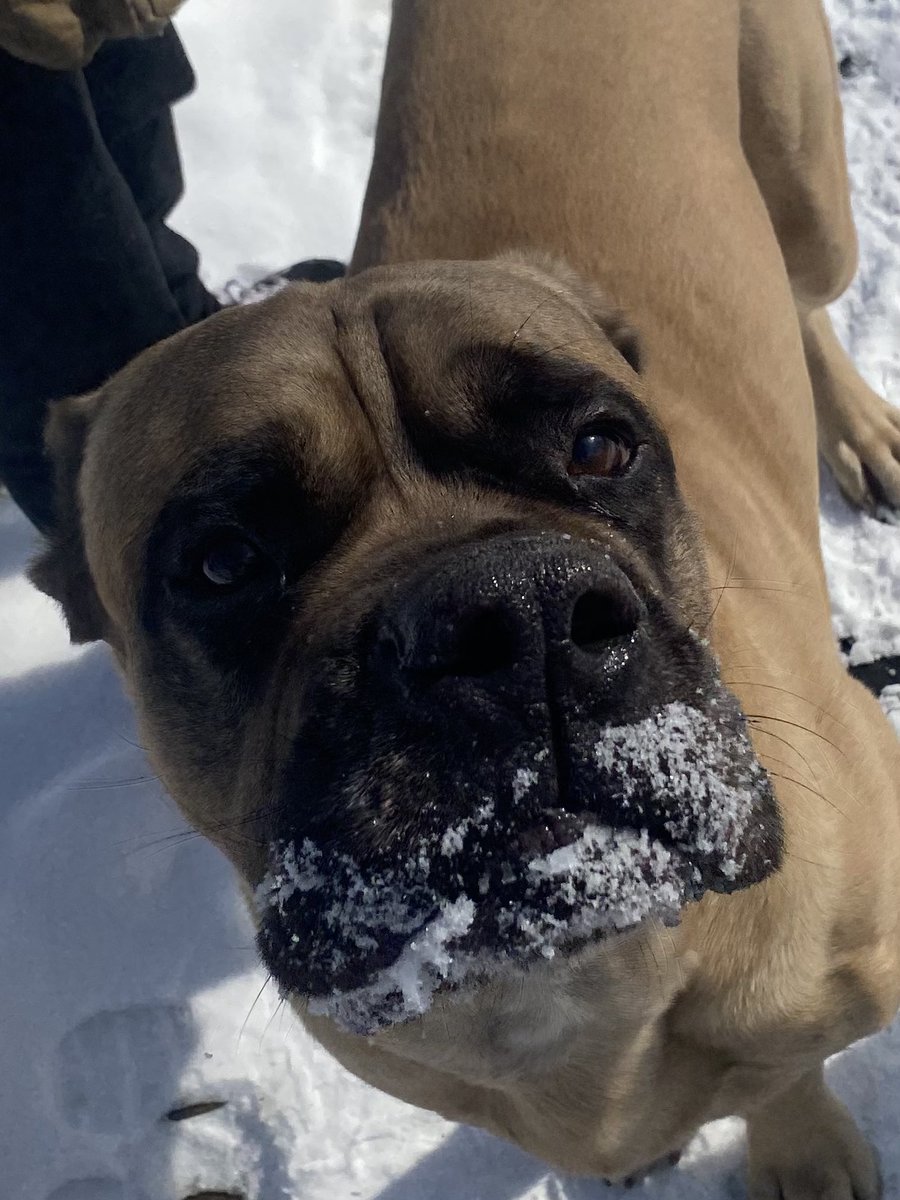 Redwood Rick tweet media