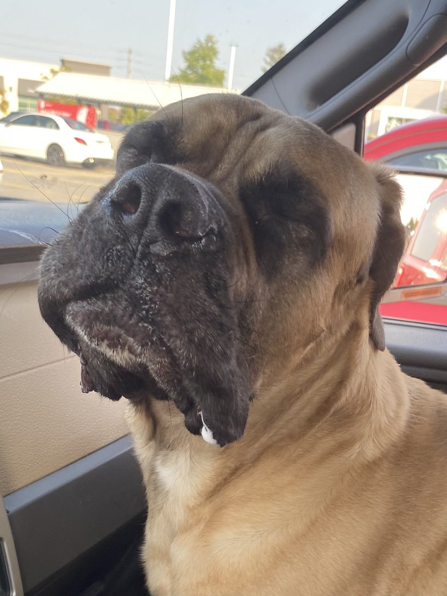 Redwood Rick tweet media