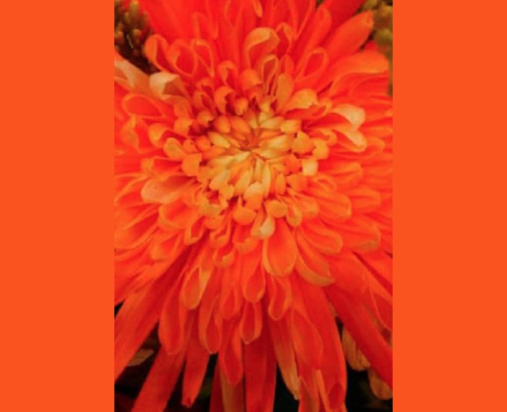 Famous In My Phone🔥 tweet media