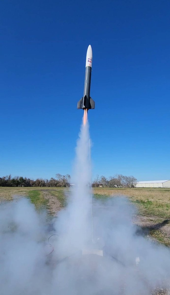 eccorca 🐬 tweet media