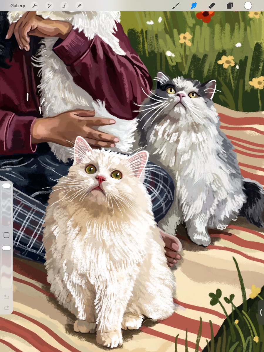 Kilimeen tweet media