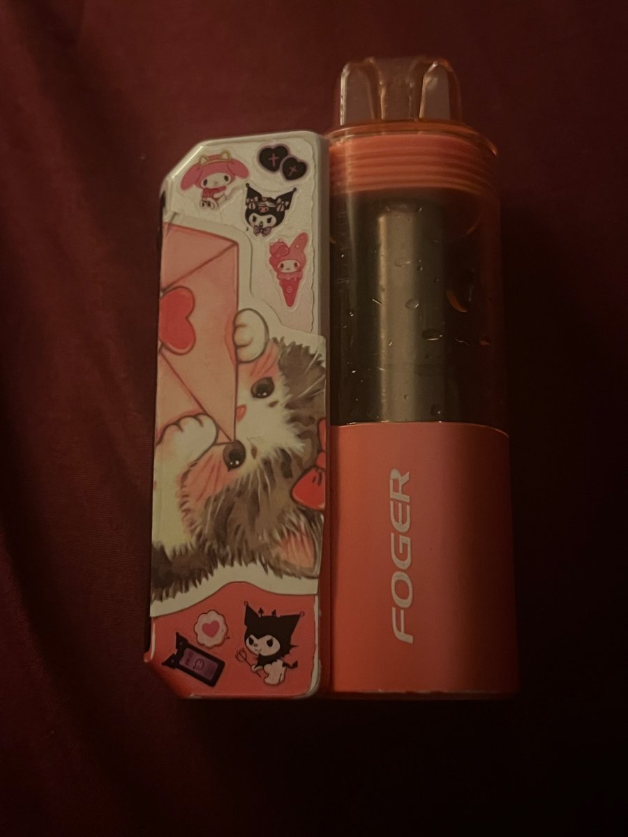 ᵐᵃʸ っ ̯ -｡🐾 tweet media