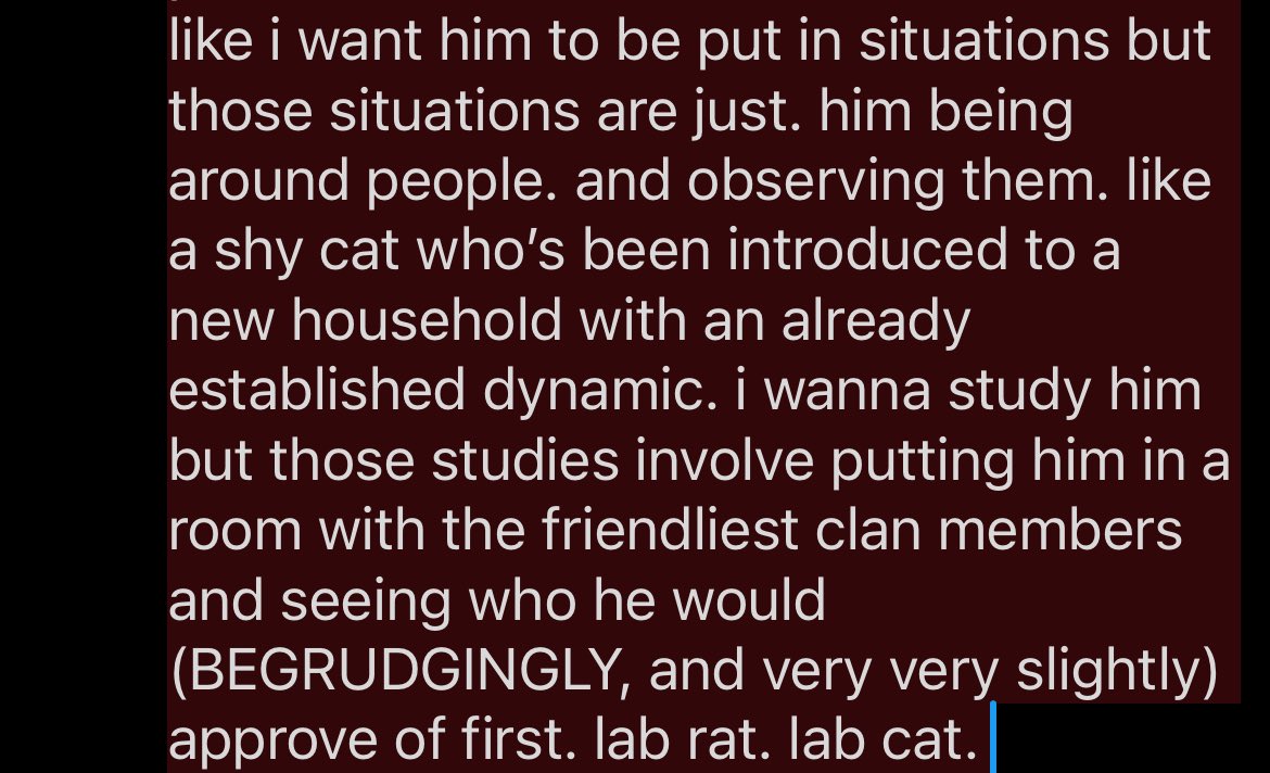 ❄️ #𝟏 ‘yakumo purrs’ 𝐭𝐫𝐮𝐭𝐡𝐞𝐫 ❄️ (𝟭𝟴+) tweet media