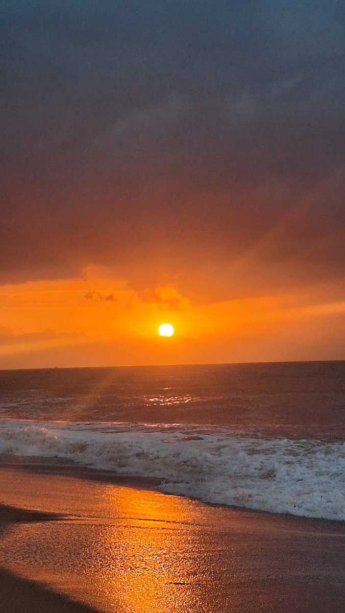 Francesc Millán tweet media