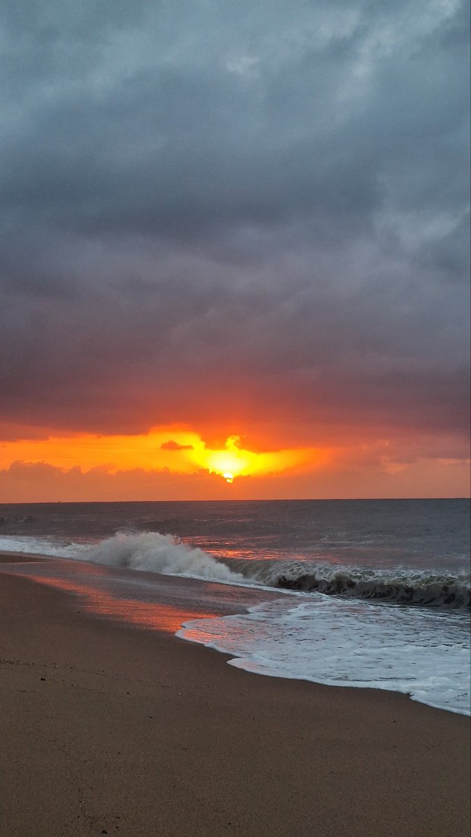 Francesc Millán tweet media