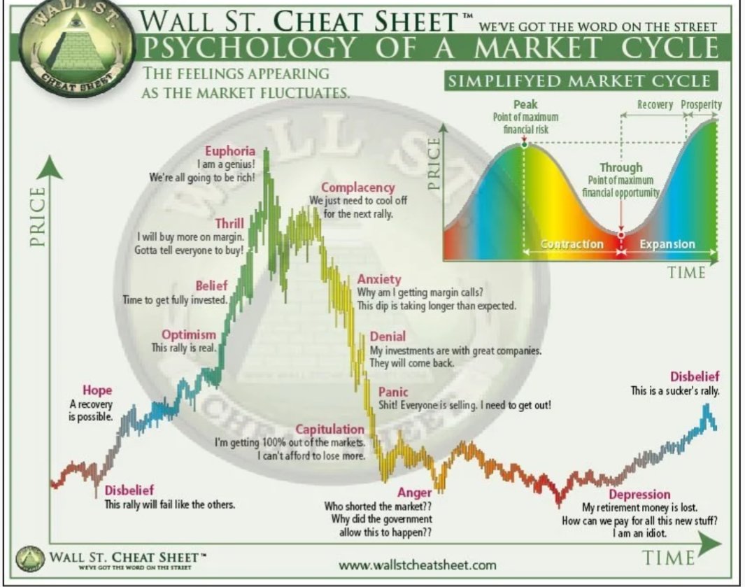 Not Bad🇵🇸 tweet media