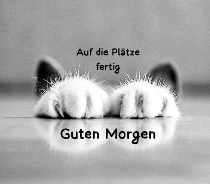 Jo☮️Jo 🤘 tweet media