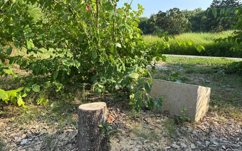 Ligue Defense Juive tweet media