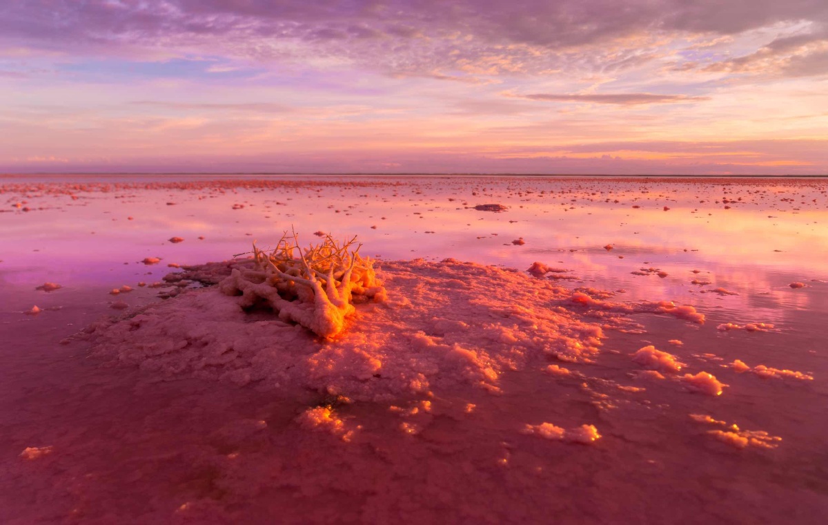 farris white tweet media