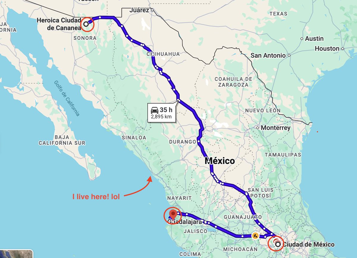 mel 🐝 tweet media