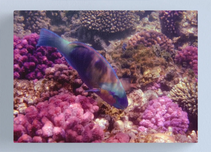 Hurmerinta Art tweet media