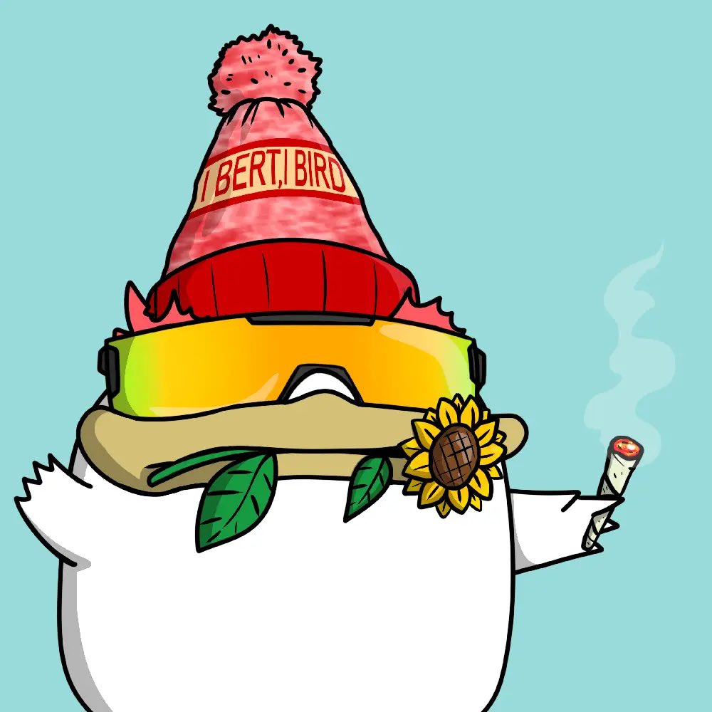 JR 🐔🪽 tweet media