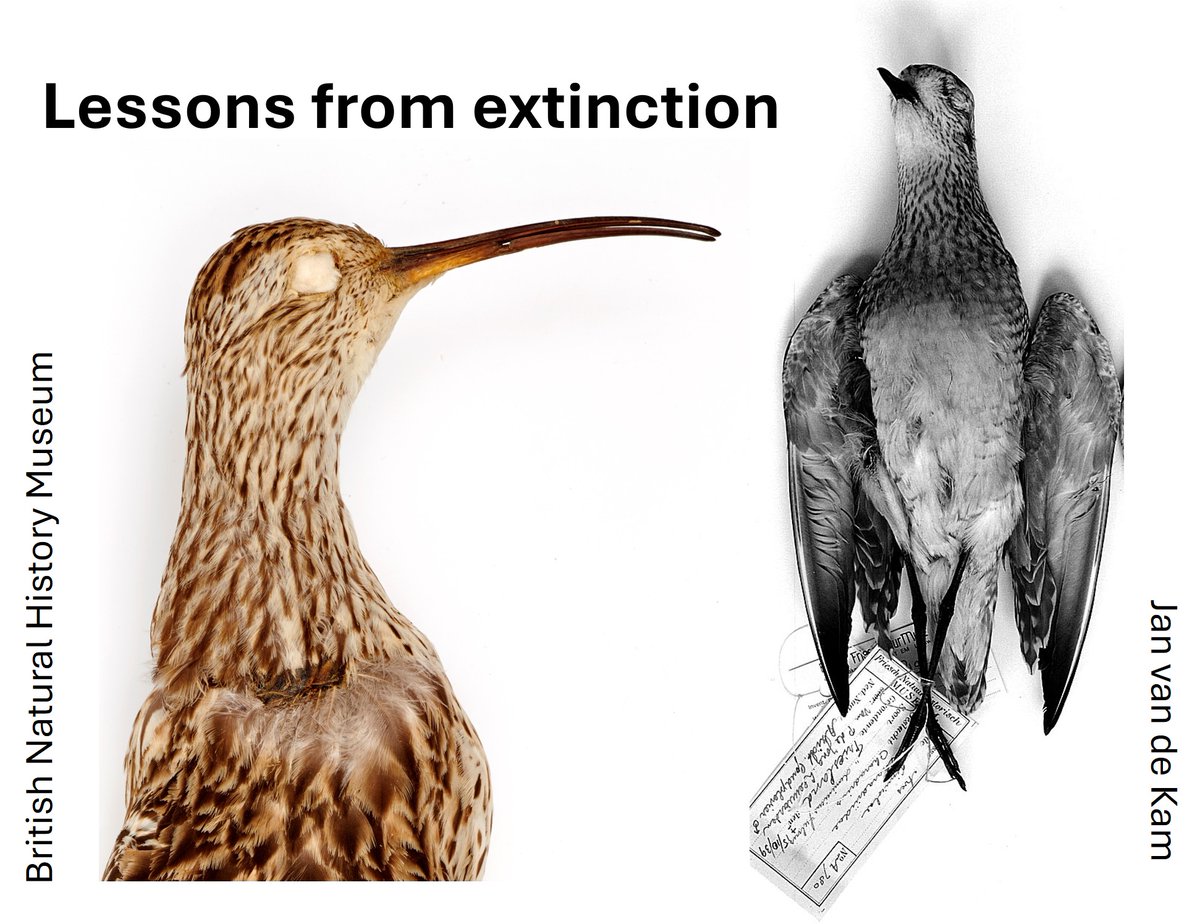 Graham Appleton tweet media