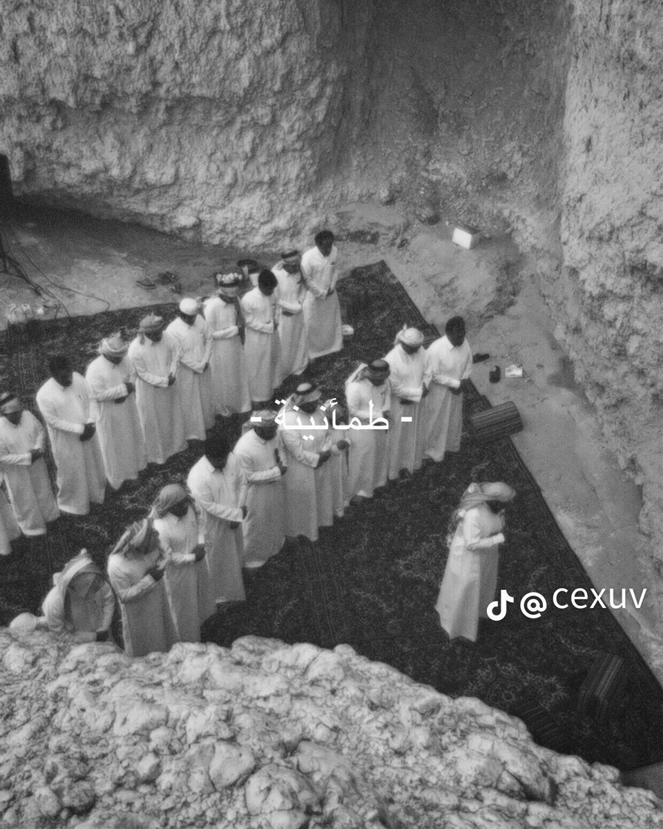 لونا tweet media