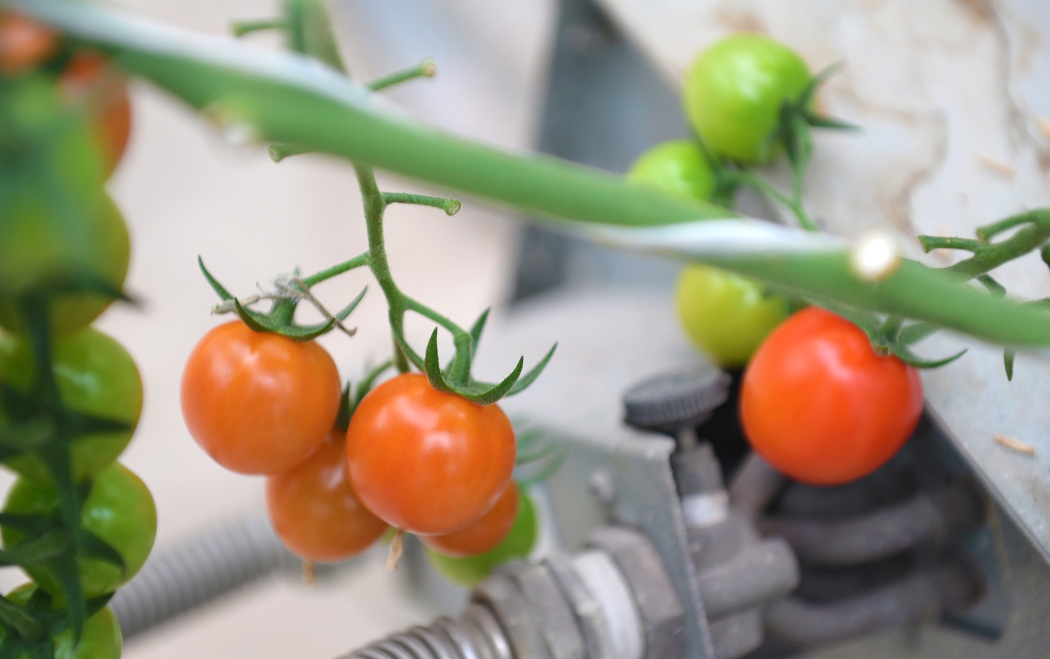 ♥ Eva ♥ tweet media