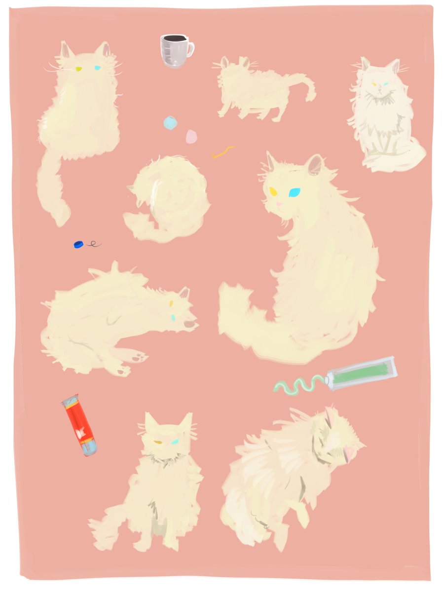 와자뵤 tweet media