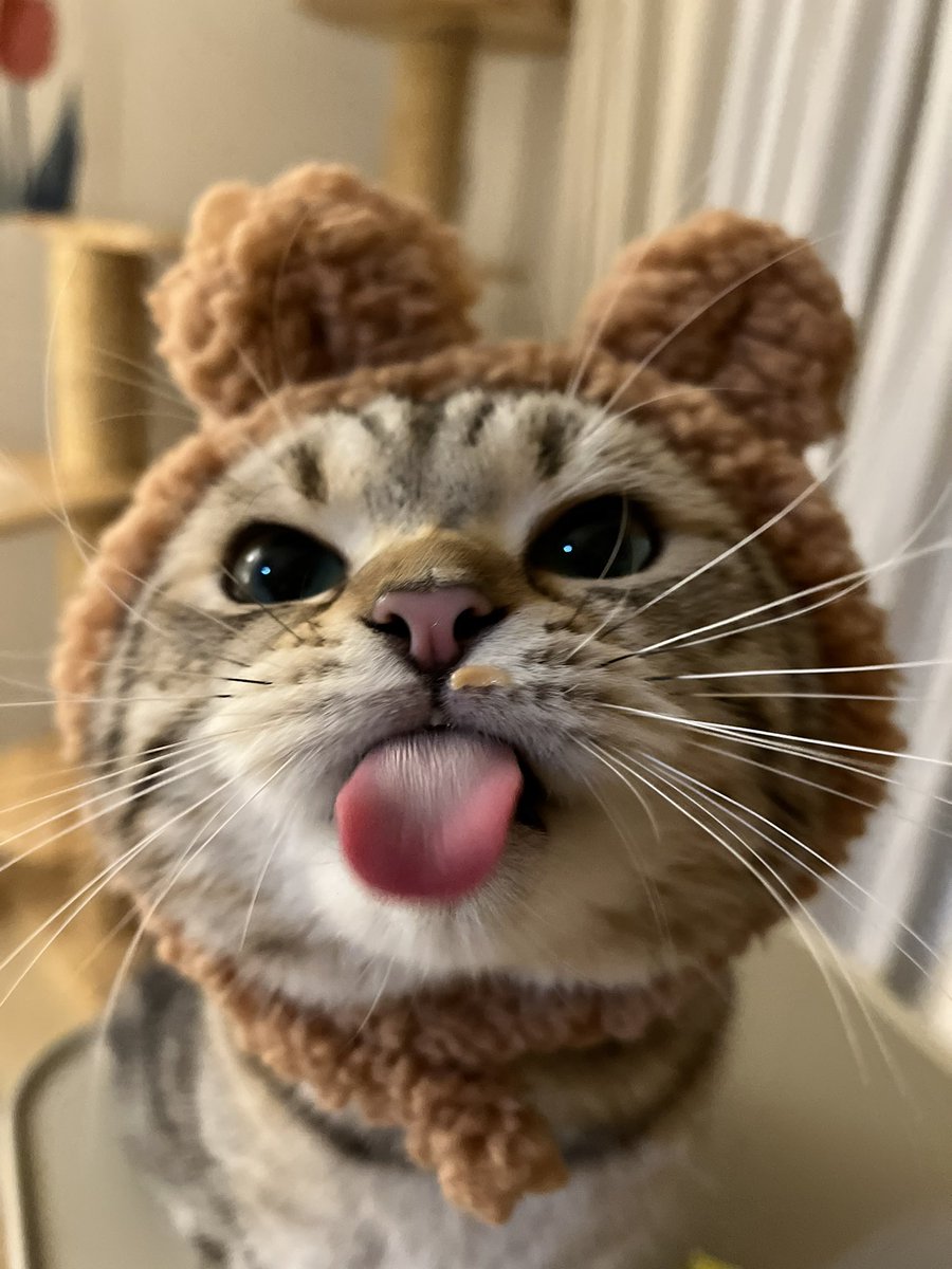 _(꒪⌓꒪」Nl_lMl3... ∠)_🏳️🌈🎨 tweet media