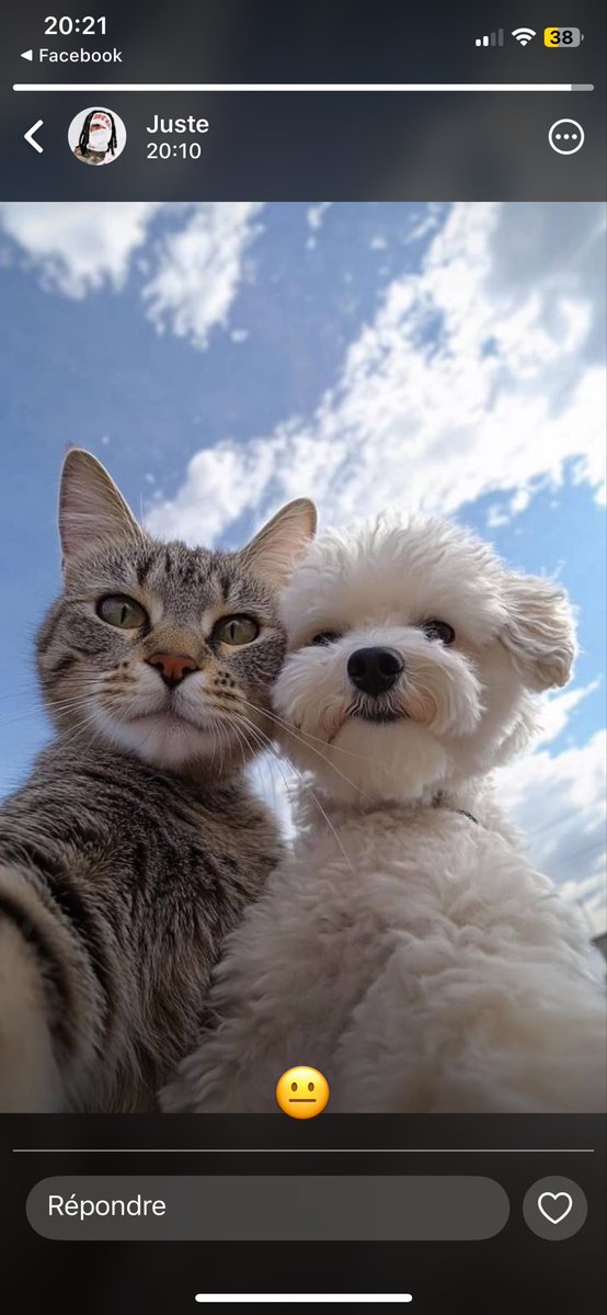 Desmond 👑🪽 tweet media