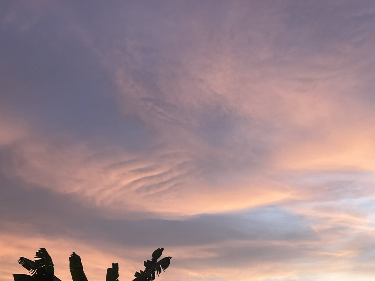 Derek Jaden🥶 tweet media