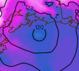 Amelia Urquhart 🏳️⚧️ tweet media