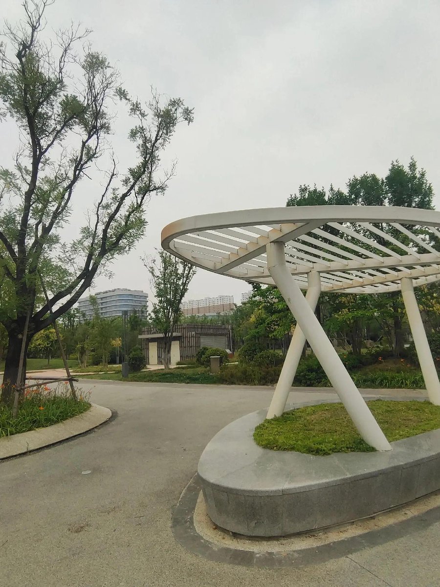 susan morris tweet media