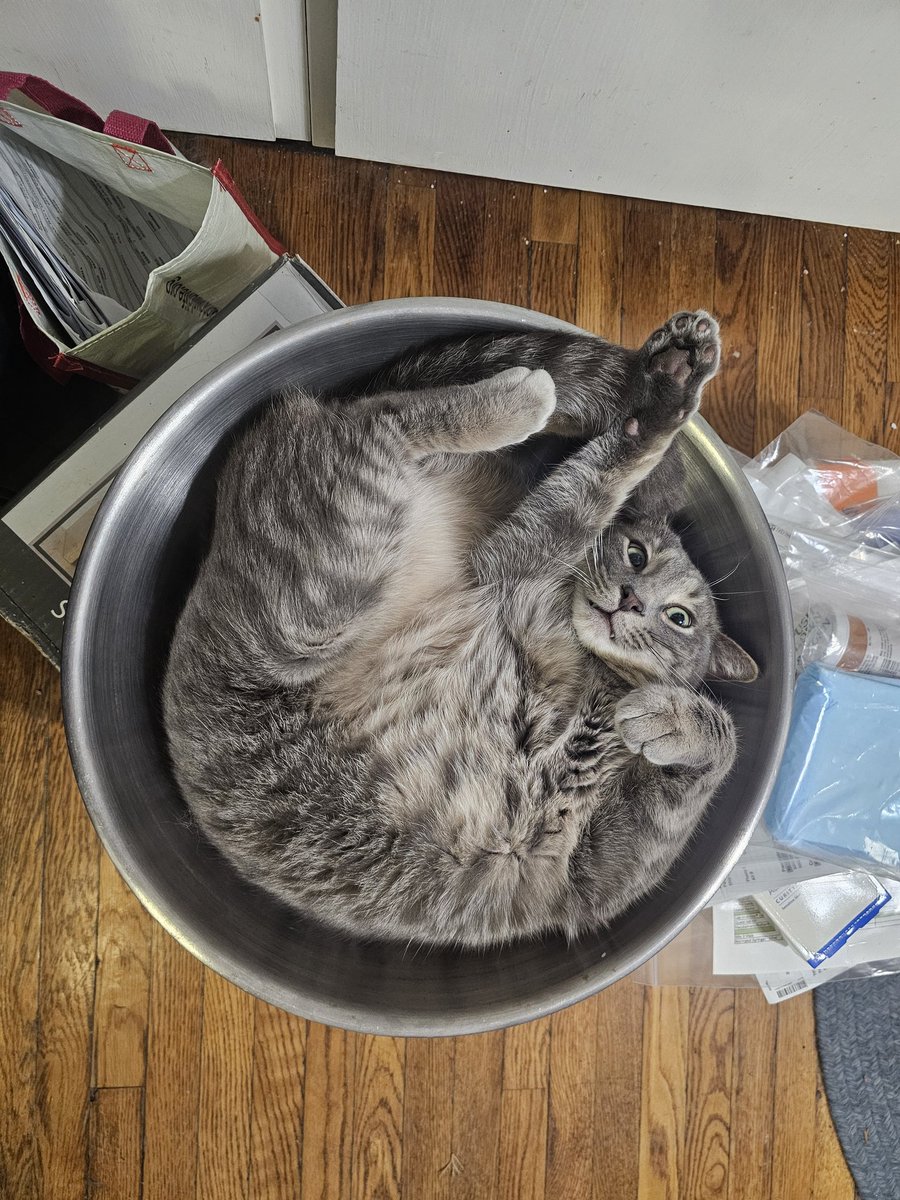 Amy Mitchell tweet media