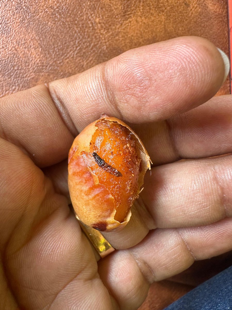 lakshminathareddy tweet media