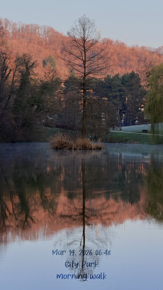 PhotoJoseph tweet media