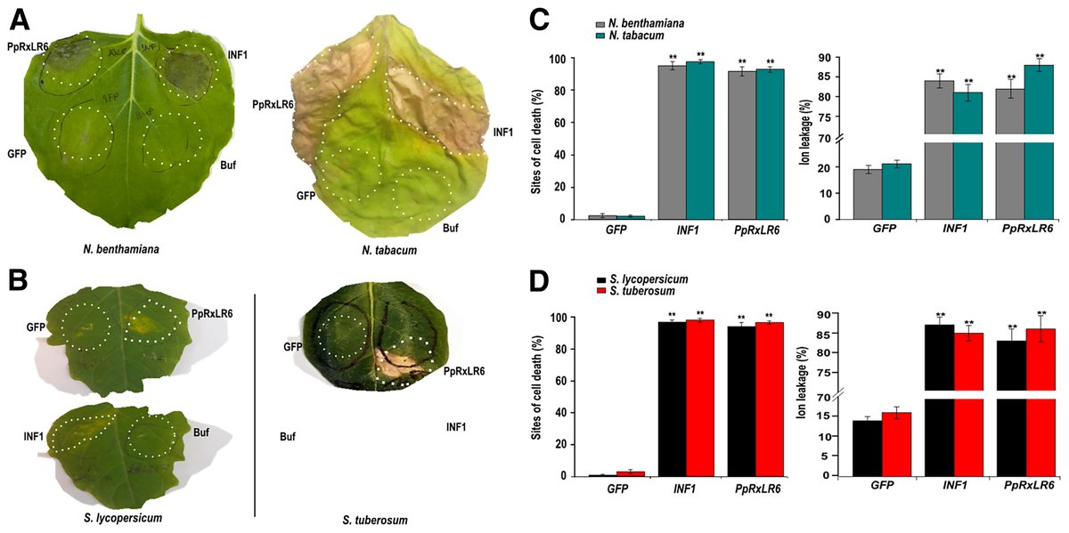 MPMI Journal tweet media