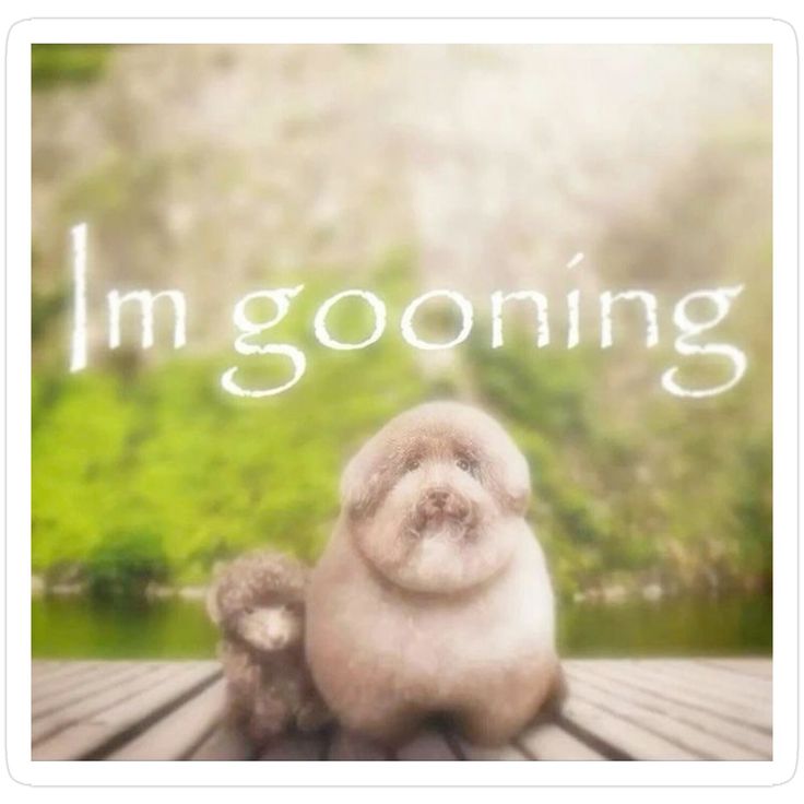 𝙥𝙞𝙭𝙚𝙡𝙞𝙩𝙩𝙯 tweet media