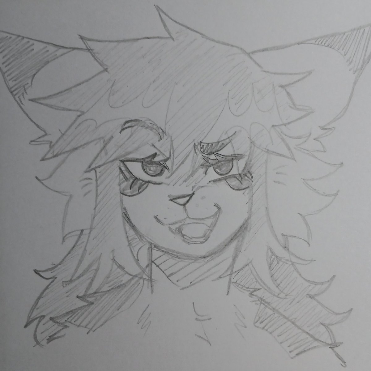 📺💫 tweet media