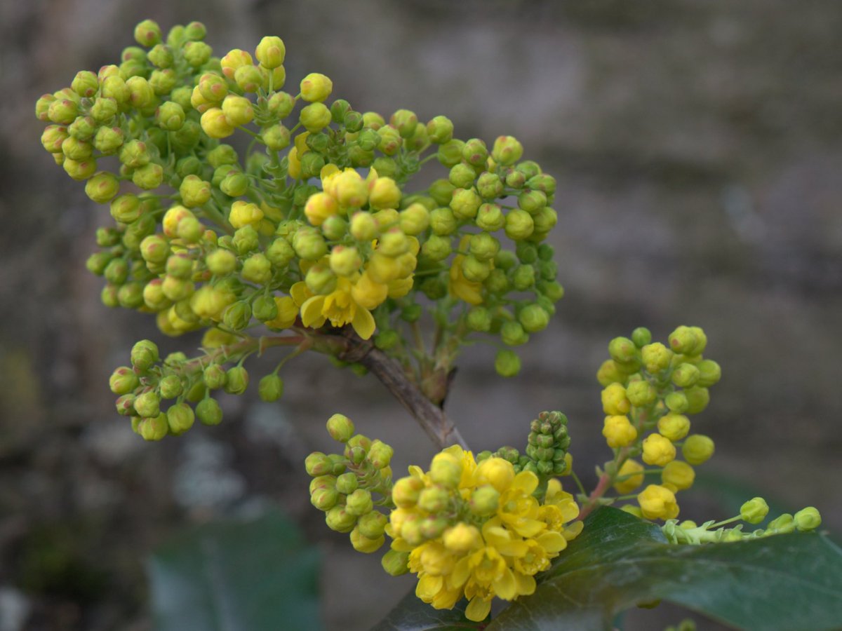 WERNER 🌍 tweet media