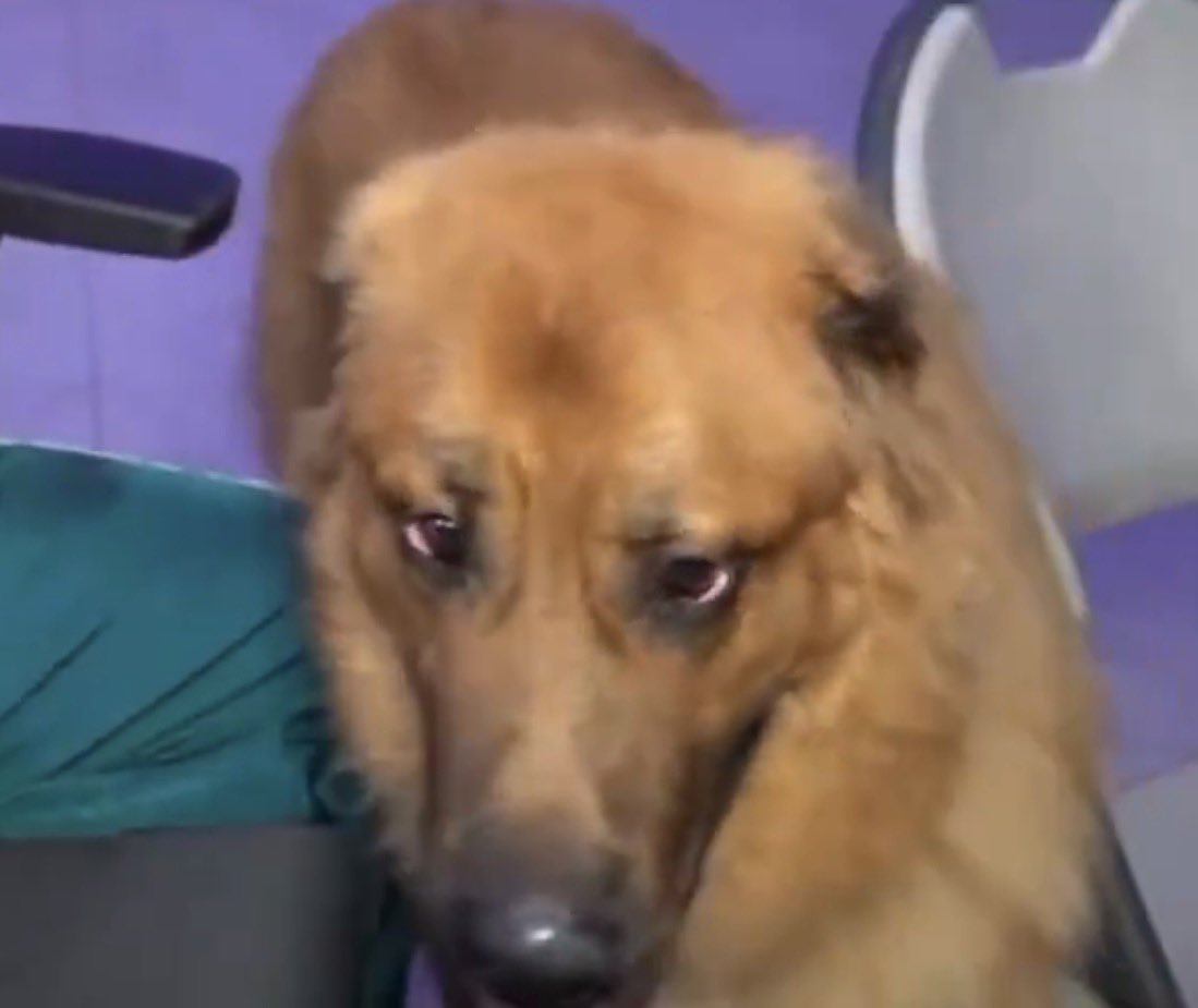 AD 🤟🏽 tweet media