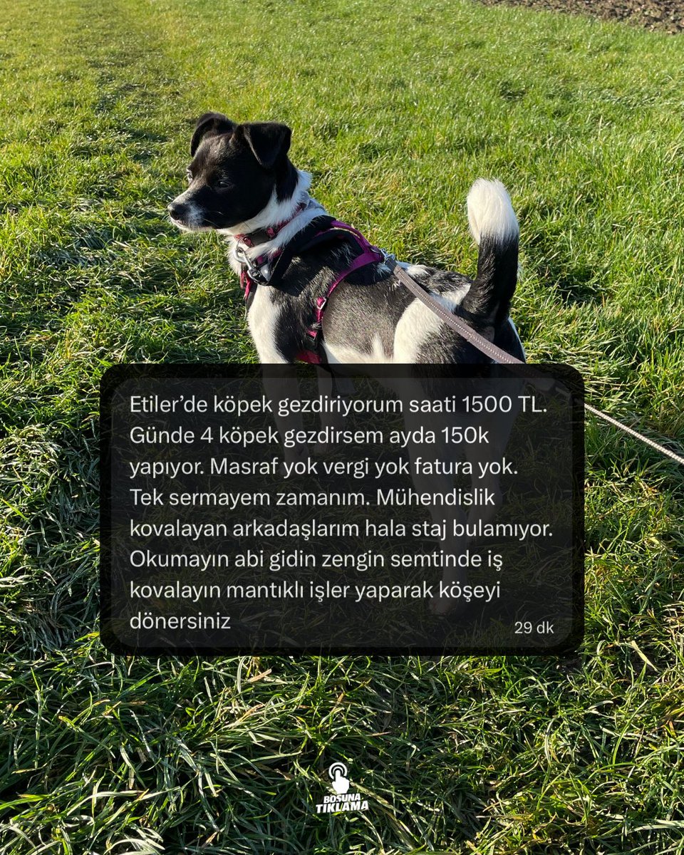 Boşuna Tıklama tweet media