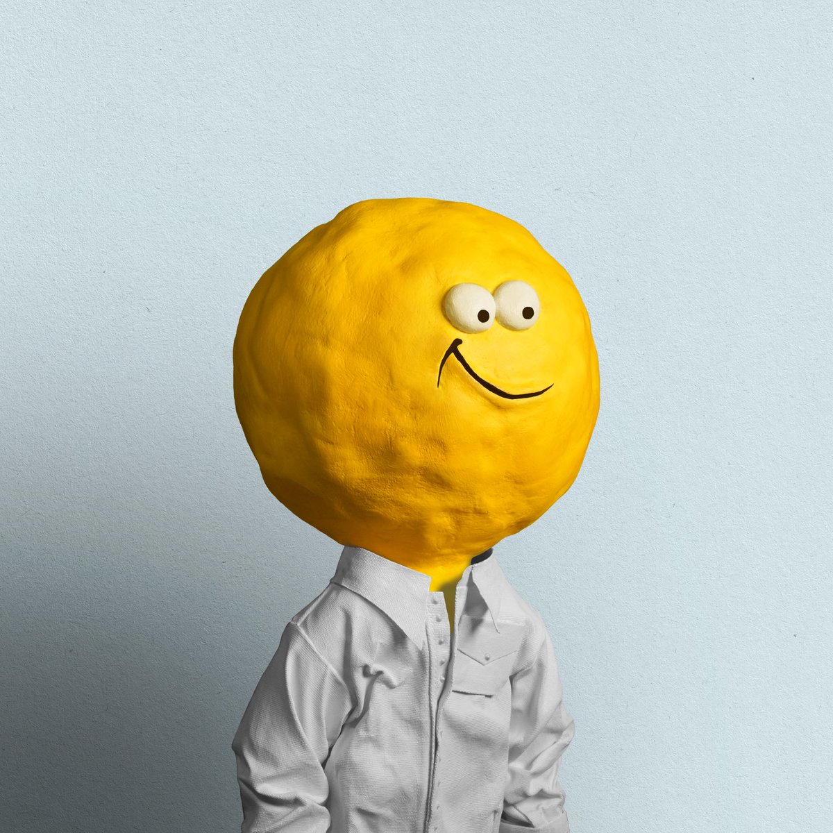 OKBoomer DN 🇳🇿 tweet media