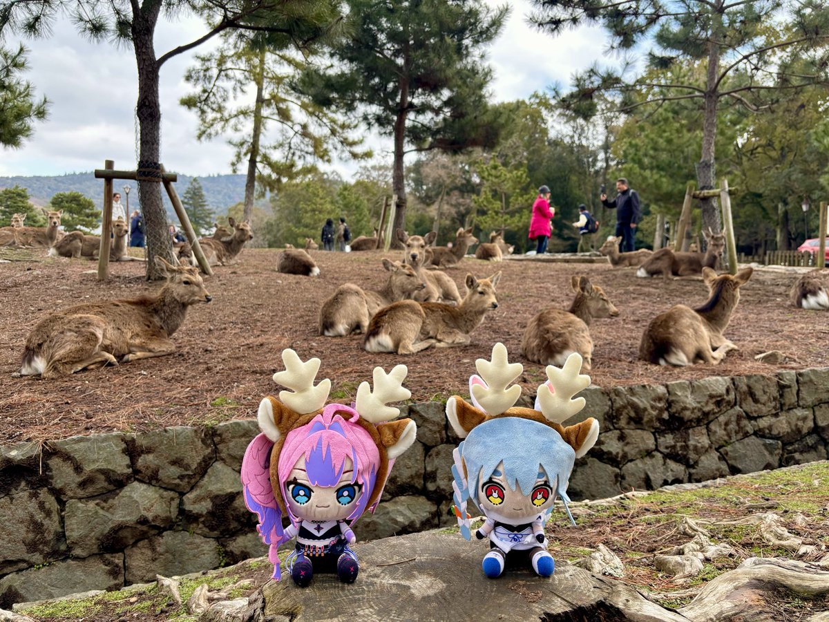 MultiCube26 tweet media