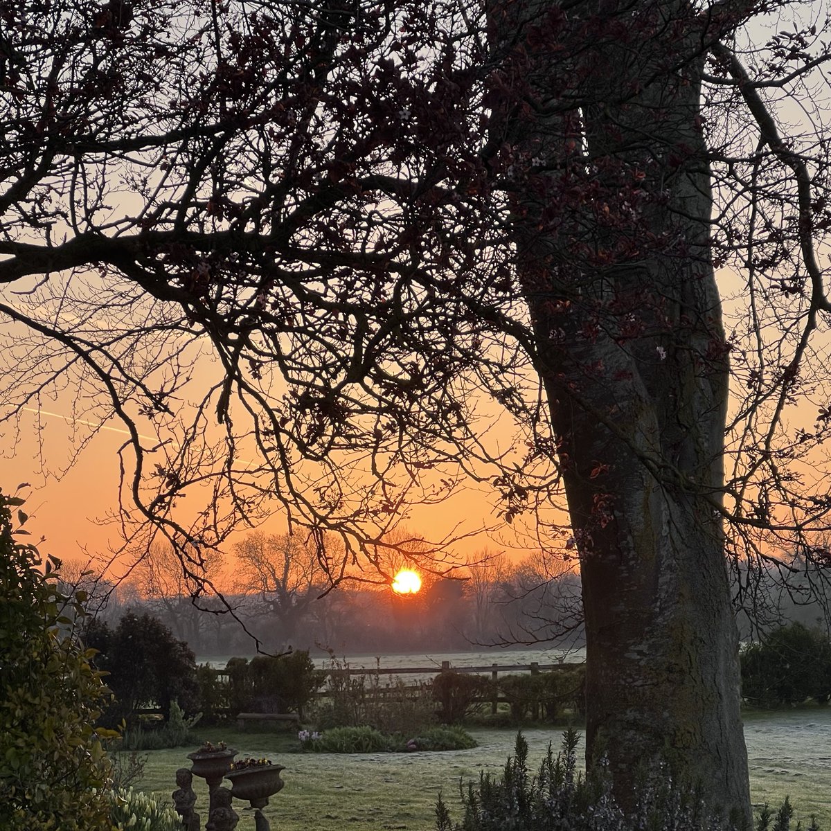 charlotte smith tweet media