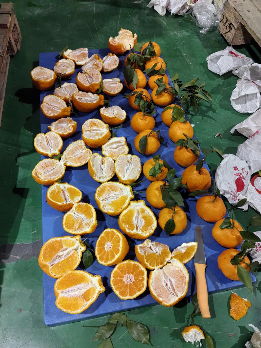 Jdm Josh tweet media