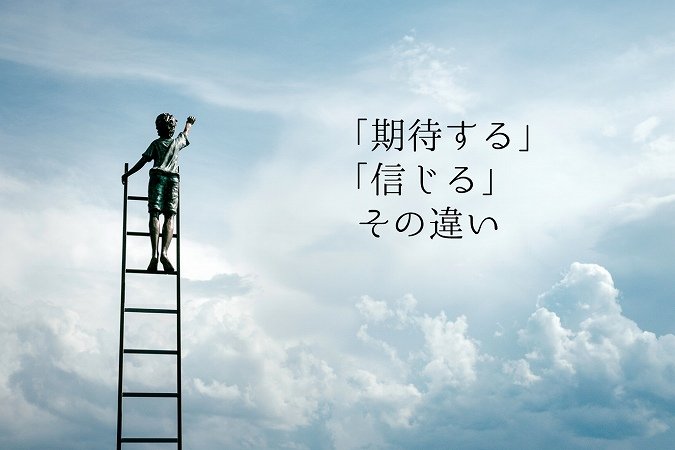 れんれん tweet media