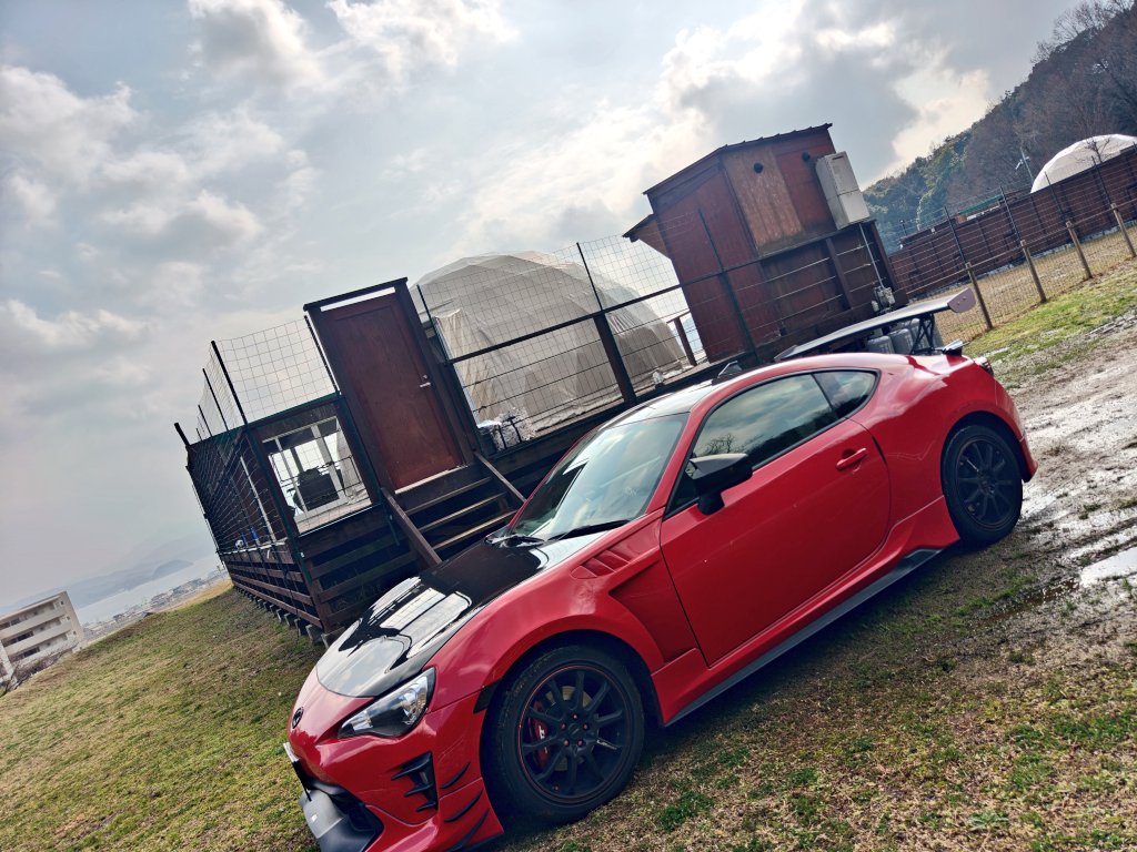 うるふ_Wolf tweet media