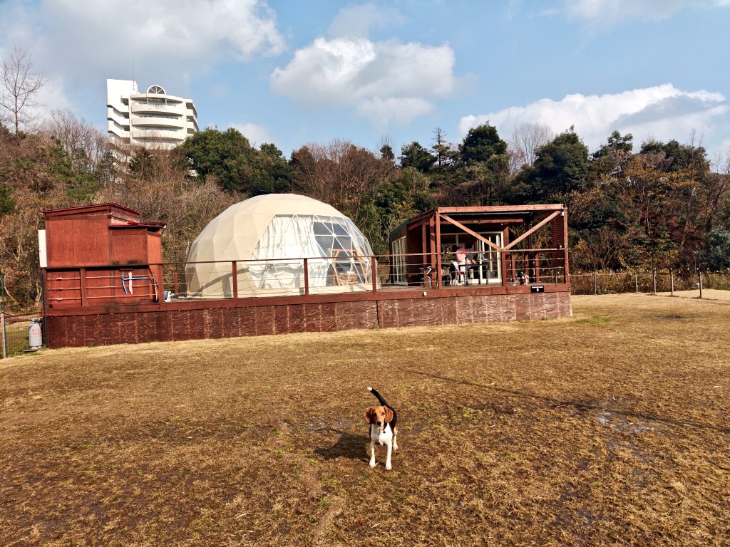 うるふ_Wolf tweet media