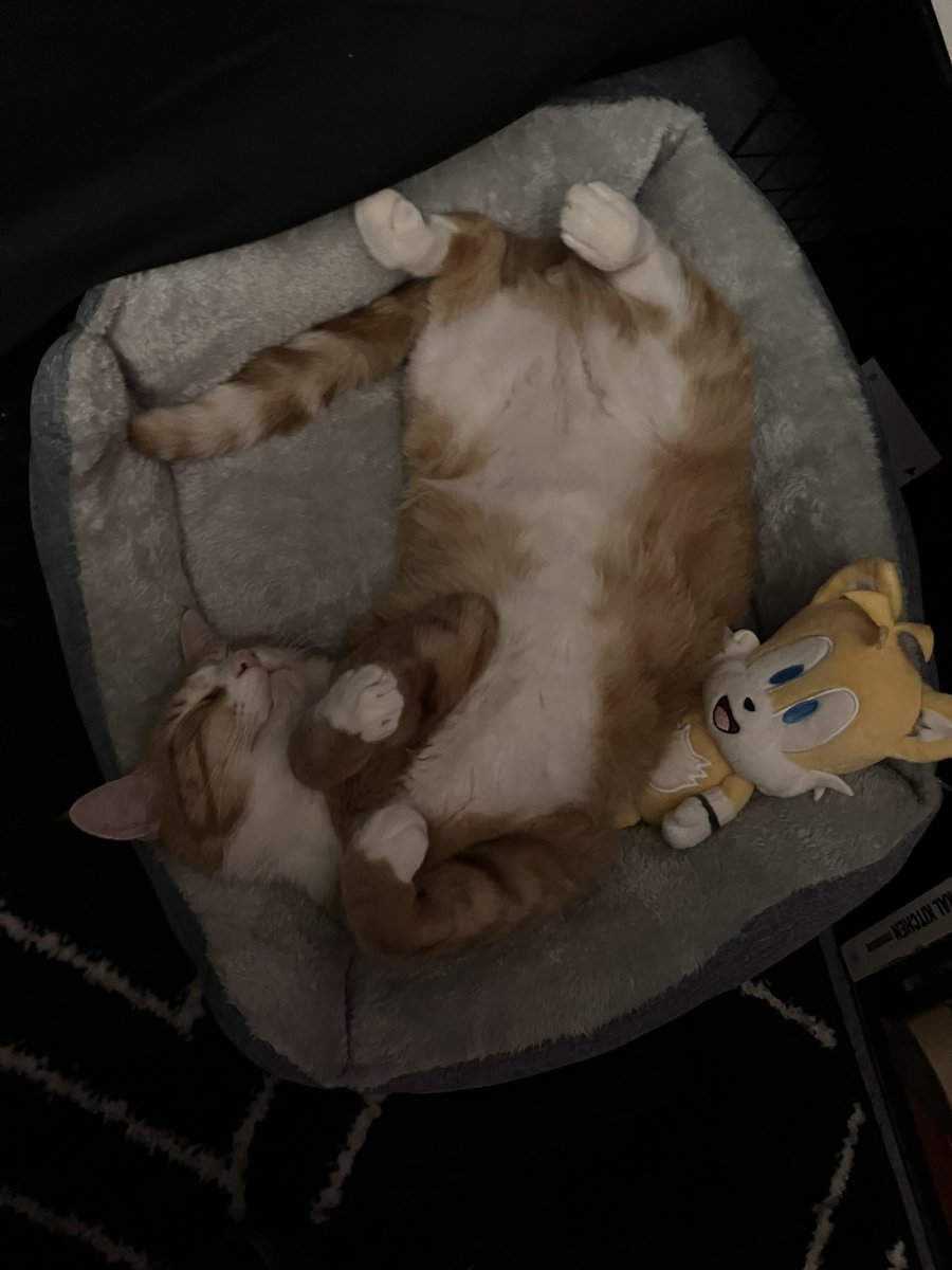 TLG, Frozen Flames☃️ tweet media