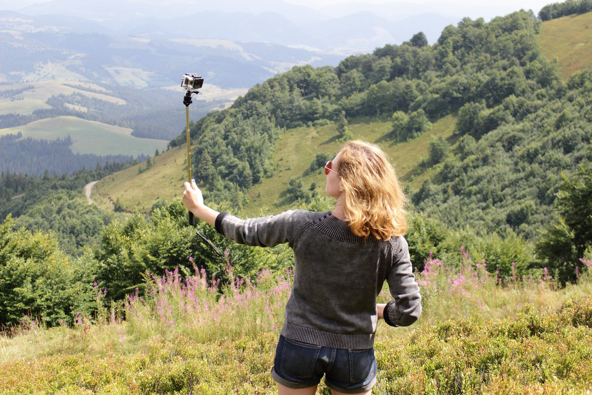 sheila wells tackett tweet media