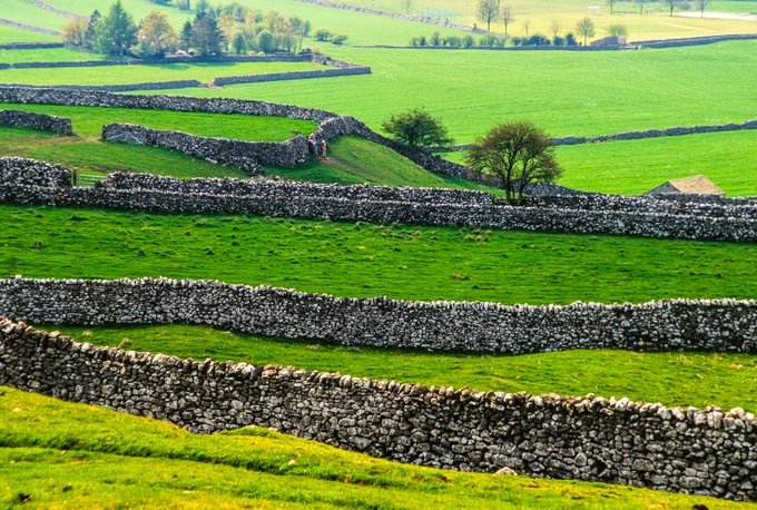 HistoryandHeritageYorkshire tweet media