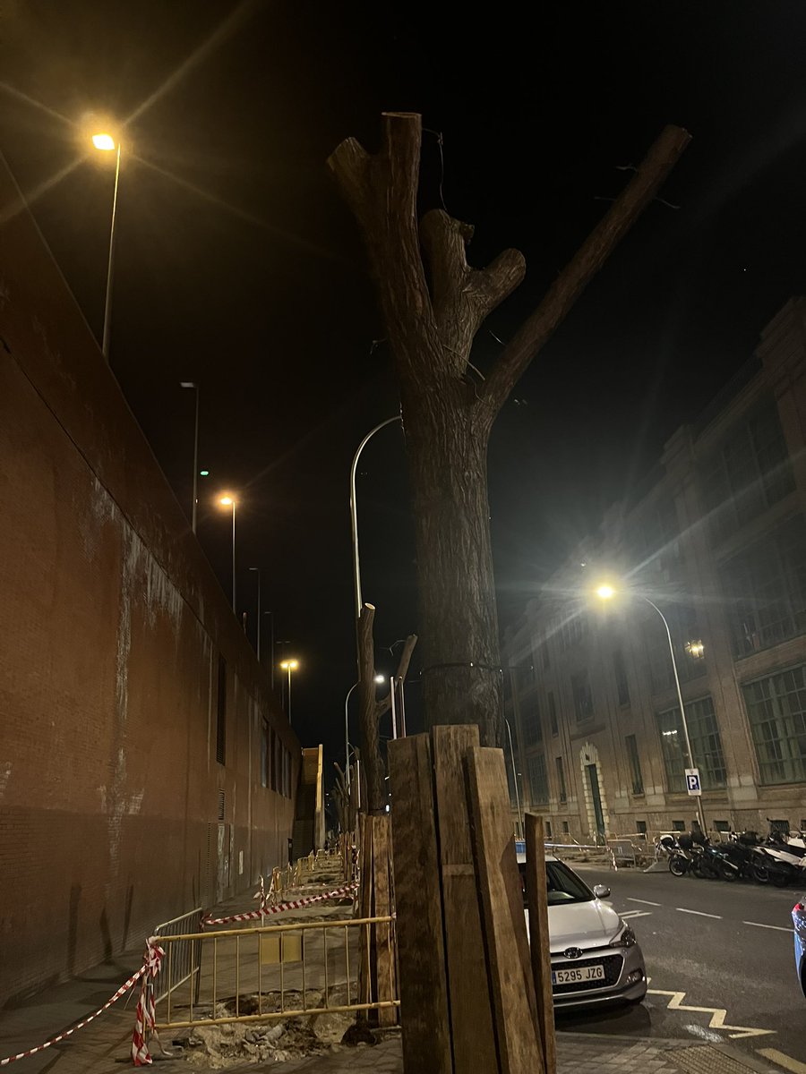 Piripipí tweet media