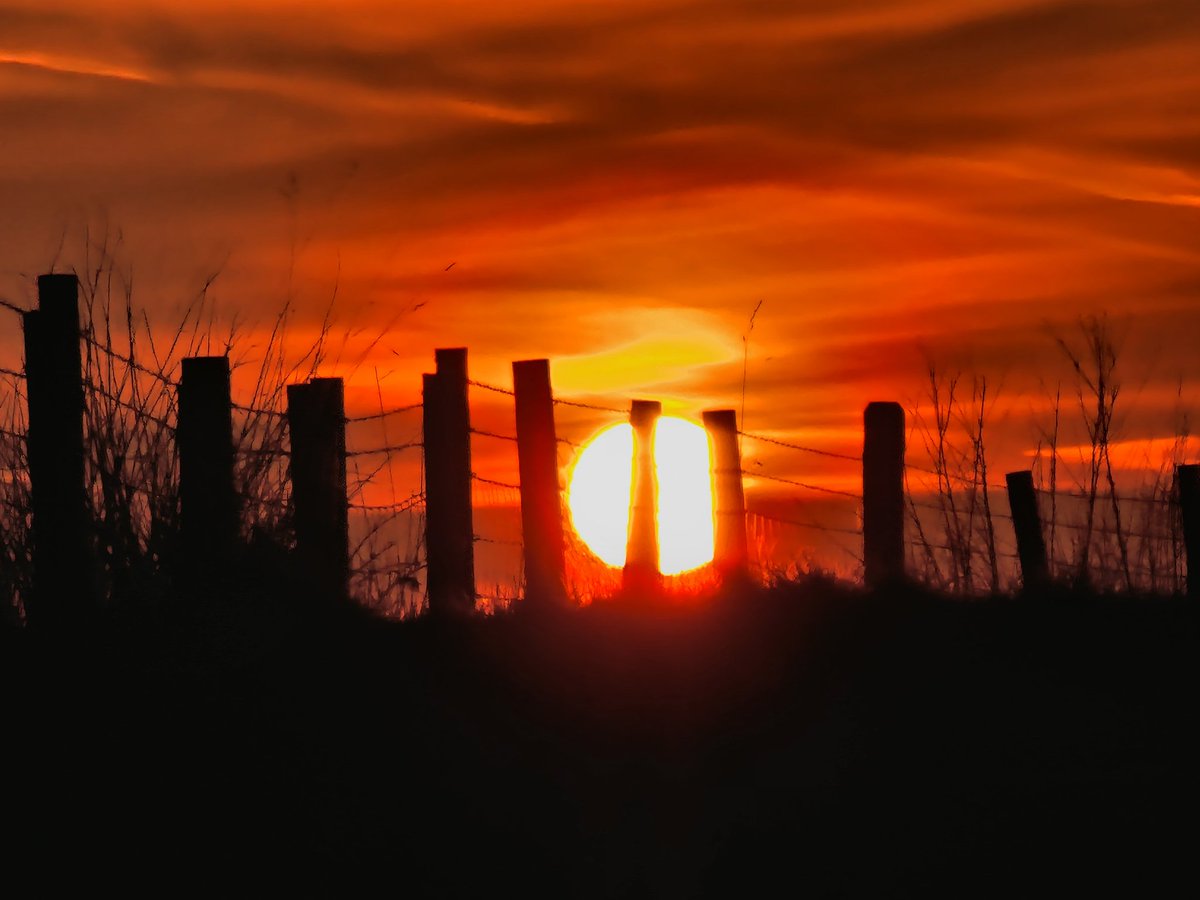 Glenn Hutton tweet media